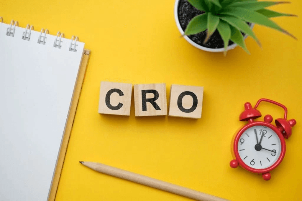 Best CRO Conversion Rate Optimizations Services in Delhi NCR